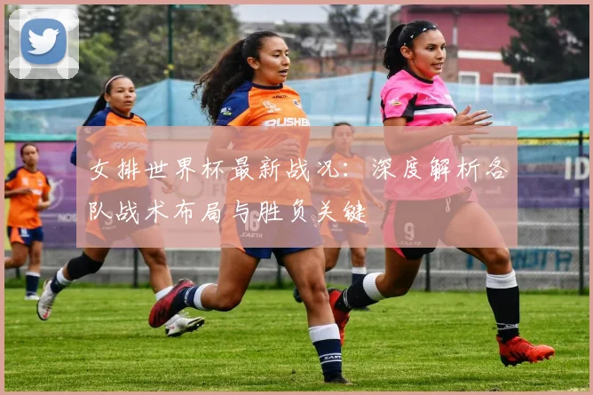 女排世界杯最新战况：深度解析各队战术布局与胜负关键