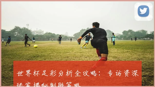 世界杯足彩分析全攻略：专访资深玩家揭秘制胜策略