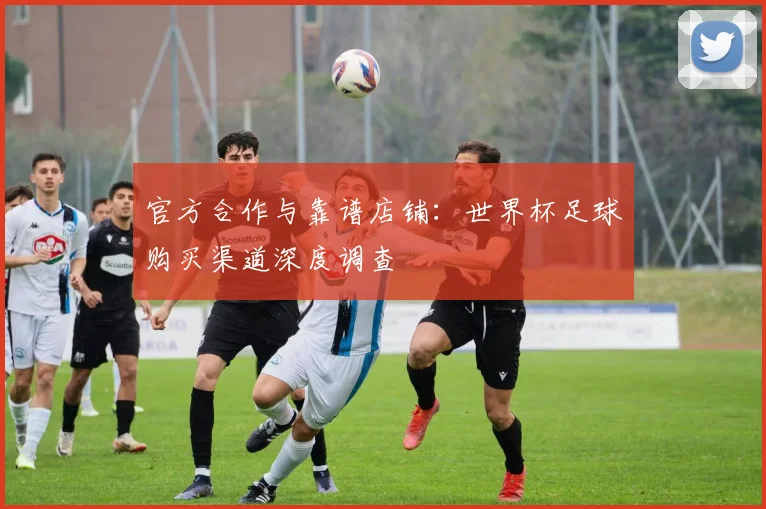 官方合作与靠谱店铺：世界杯足球购买渠道深度调查