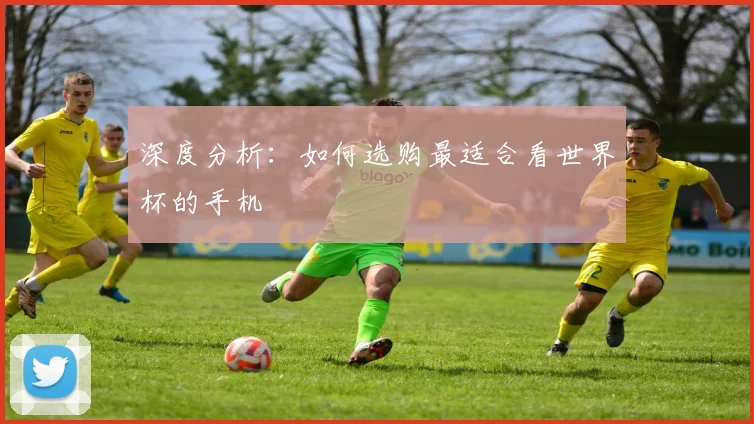 深度分析：如何选购最适合看世界杯的手机