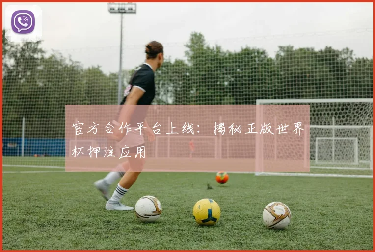 官方合作平台上线：揭秘正版世界杯押注应用