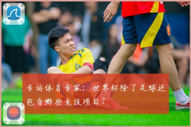 专访体育专家：世界杯除了足球还包含哪些竞技项目？