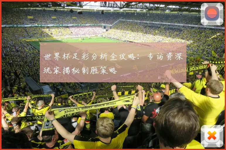 世界杯足彩分析全攻略：专访资深玩家揭秘制胜策略