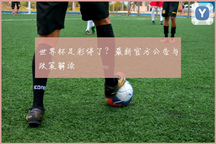 世界杯足彩停了？最新官方公告与政策解读